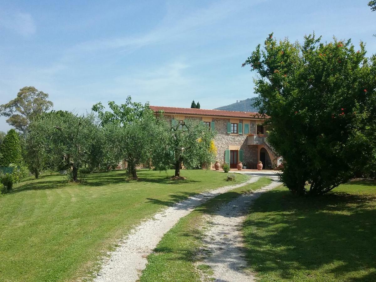Ferienwohnung Locazione Turistica La Ginestra Monsummano Terme Exterior foto